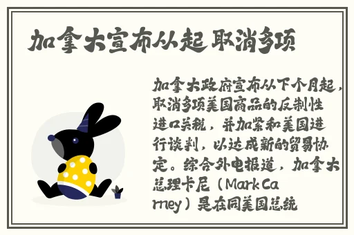英语班长要看我的小积积